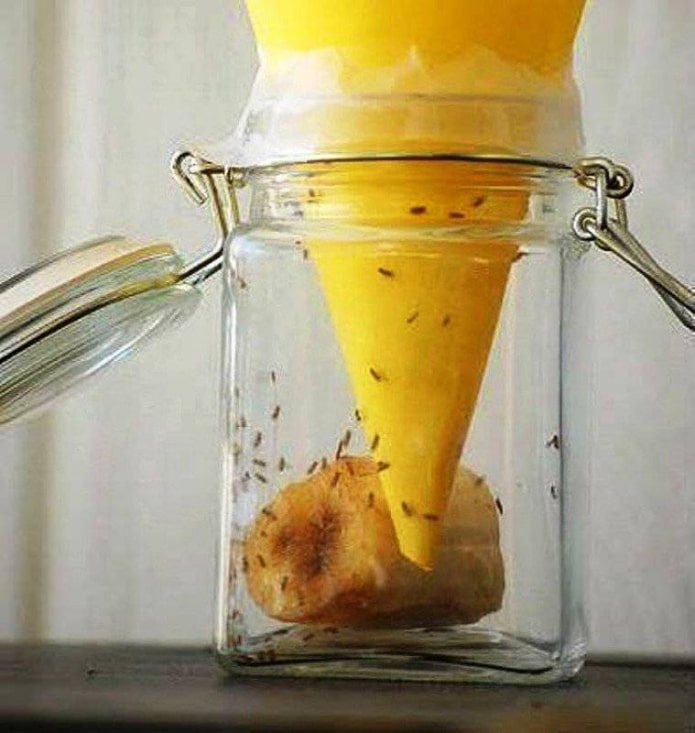 DIY muggenval