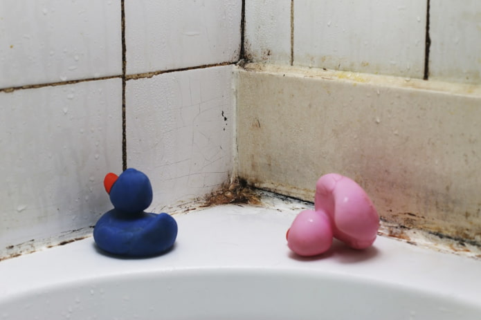Hoe kom ik van schimmel af in de badkamer?