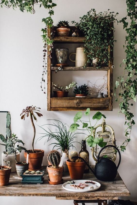 Bloemen voor in huis