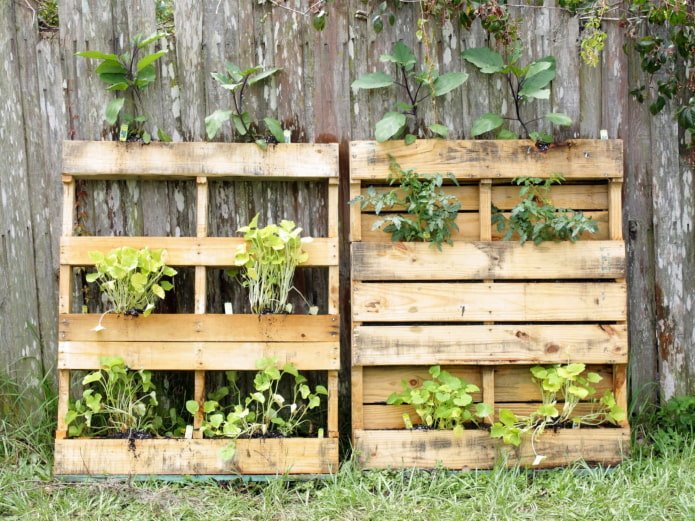 Pallets met groen bij het hek