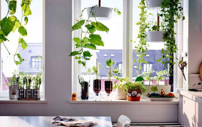 Hangende plantenbakken