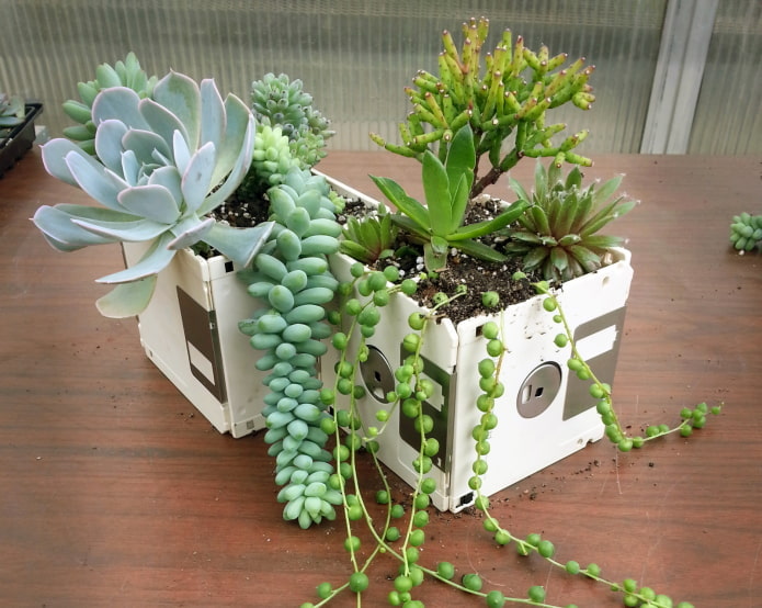 Bloempot van witte floppy disks