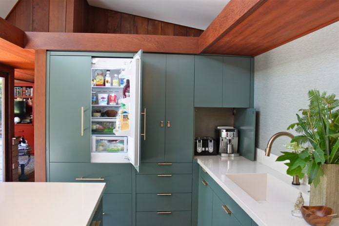 koelkast ingebouwd in het keukeninterieur