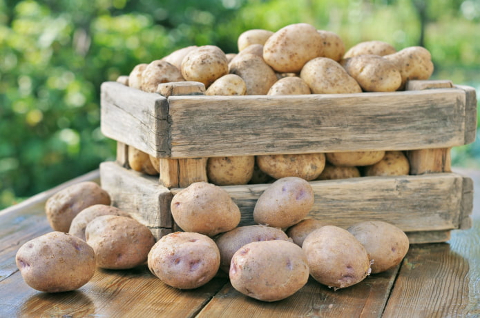 Aardappelen