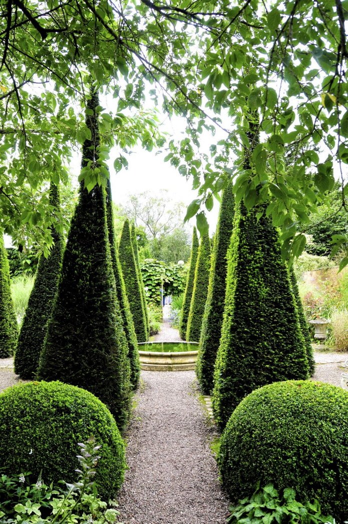 een parklaantje met piramidale en ronde thuja's