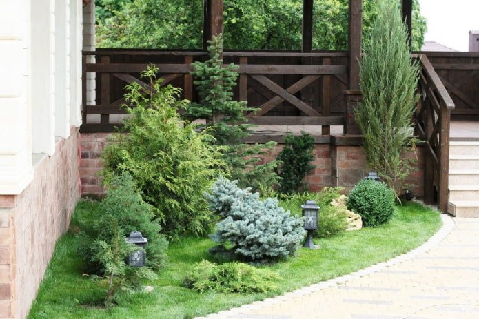 voortuin met coniferen en verlichting