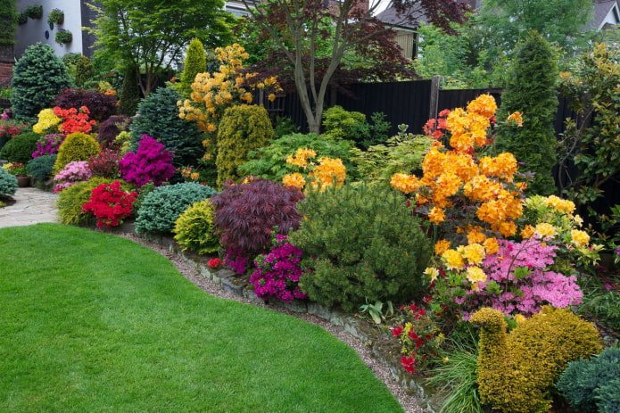 mixborder met coniferen en bloemen