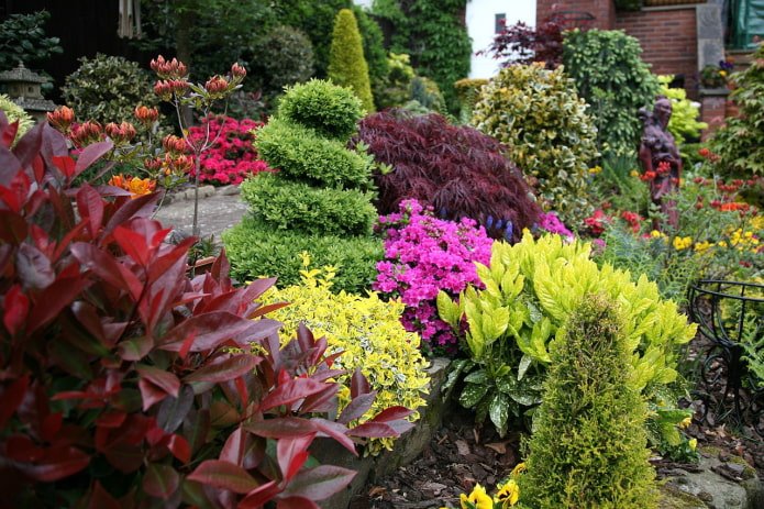 bloemperk met gesnoeide coniferen en bloemen