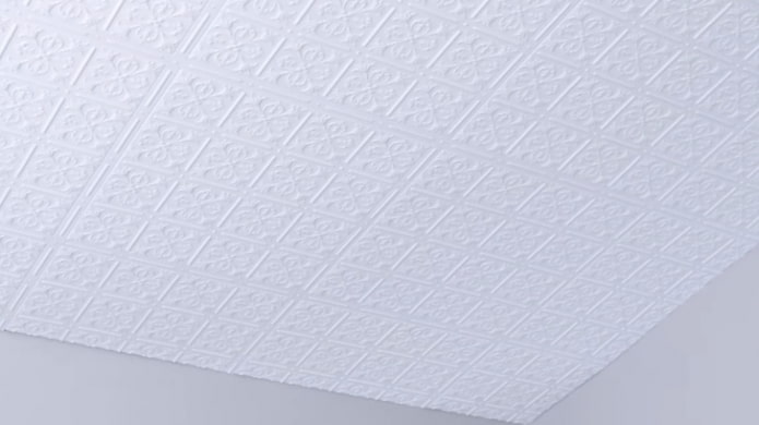 afgewerkt plafond