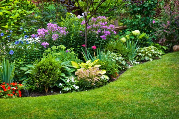 zomerbloeiende mixborder
