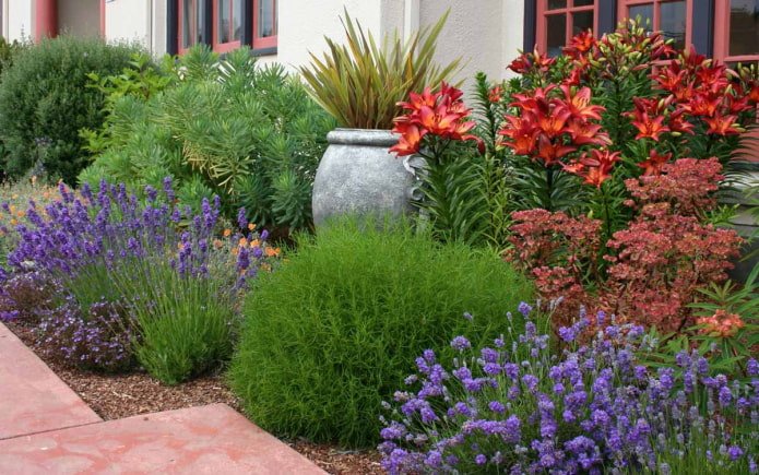 cirkelvormige mixborder