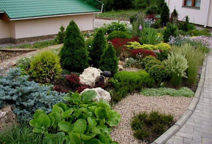 bloemperk met coniferen en vaste planten