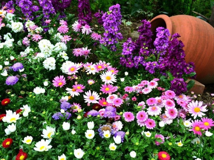 een bloemperk met eenjarige planten en een kan