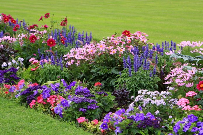 een bloemperk met meerdere niveaus met eenjarige planten
