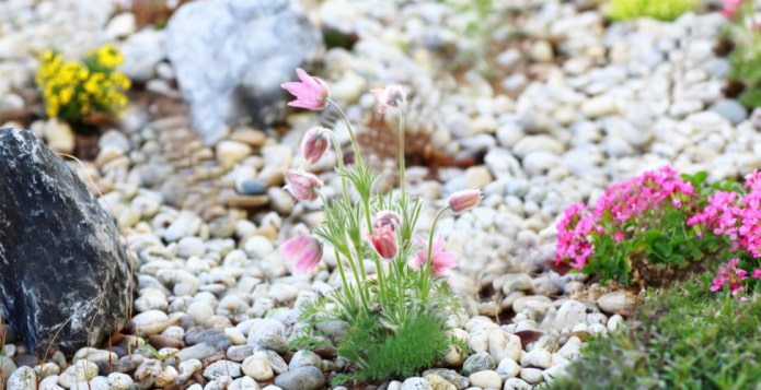lente rotstuin