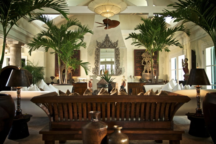 grote planten in huis