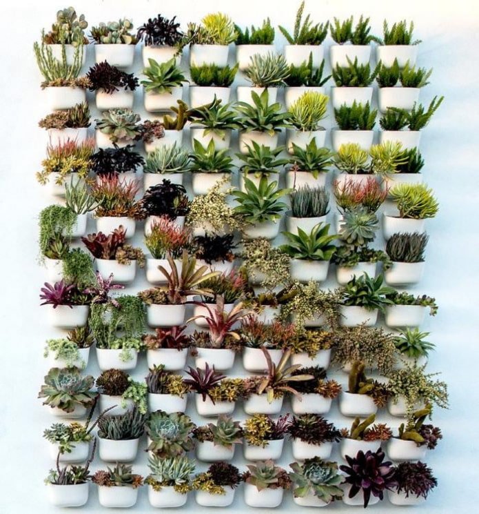muurcompositie