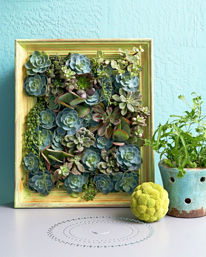 schilderij van vetplanten