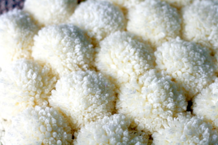 Pompoms aannaaien