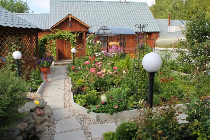 Een kleine tuin met bloemen