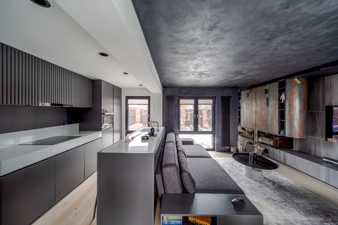keuken-woonkamer interieur in donkere tinten