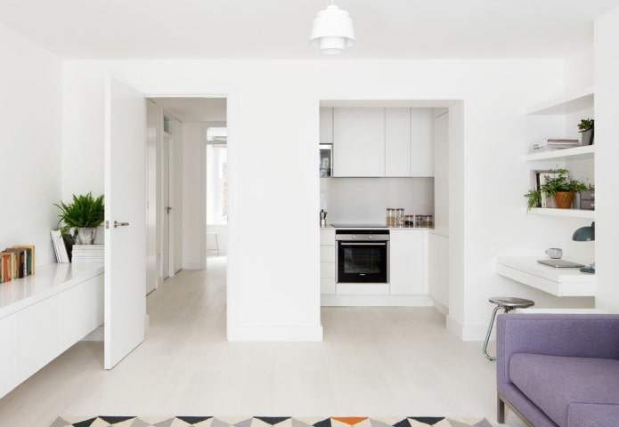 keuken in een nis in het interieur van de woonkamer