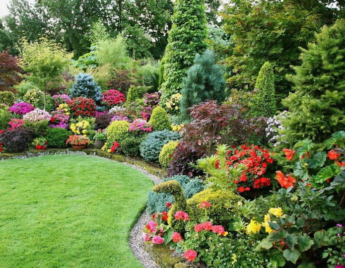 Veelkleurige groep planten