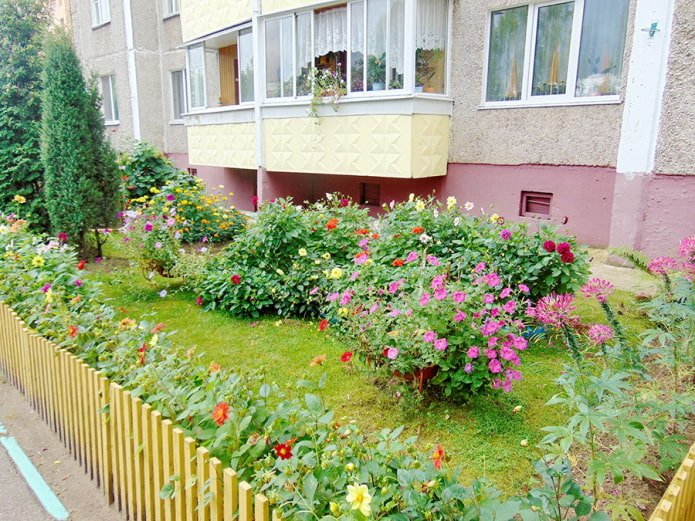 Huisgebied