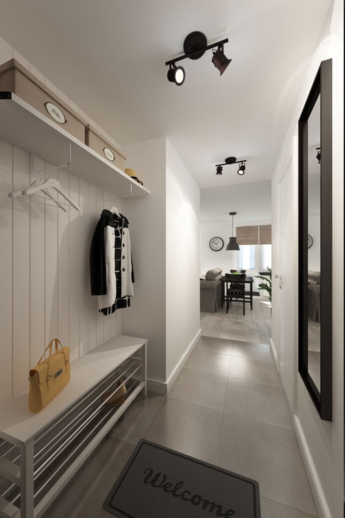 gang in het ontwerp van een studio-appartement van 33 m?.