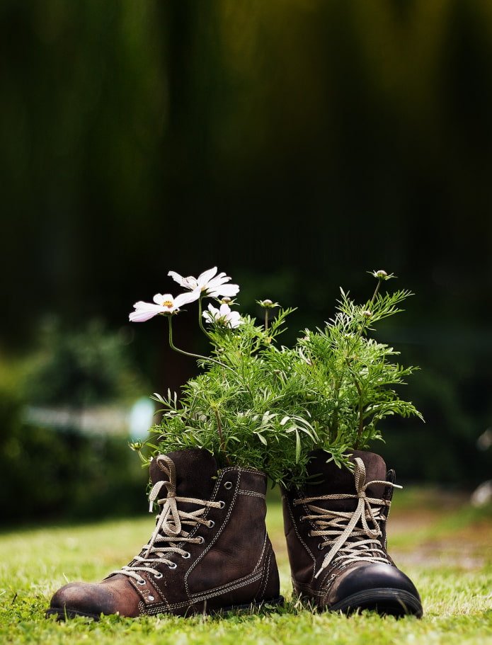 bloemen in laarzen