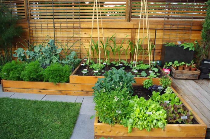 Een moestuin met een frame