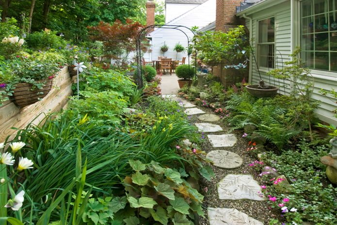 Planten langs het pad