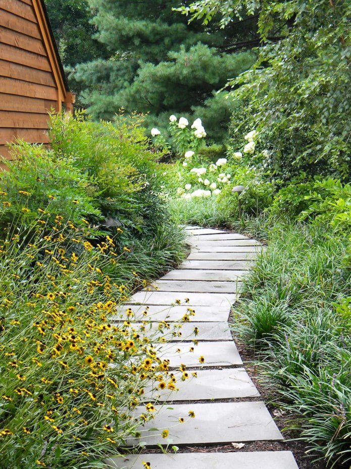 Kronkelend tuinpad
