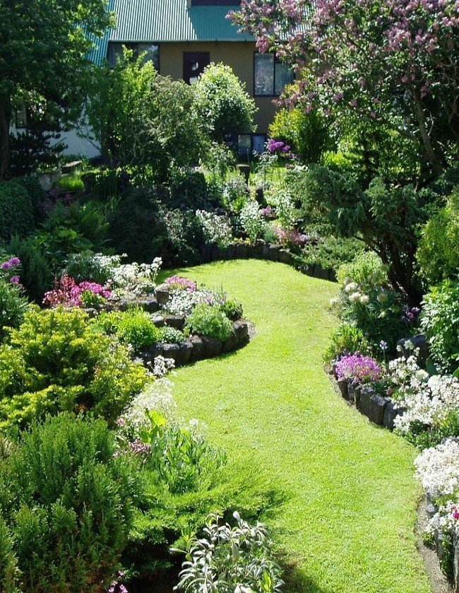 gazon op een weide in de tuin