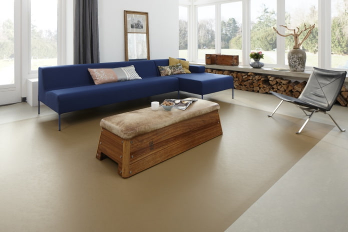 tweekleurig linoleum in het interieur