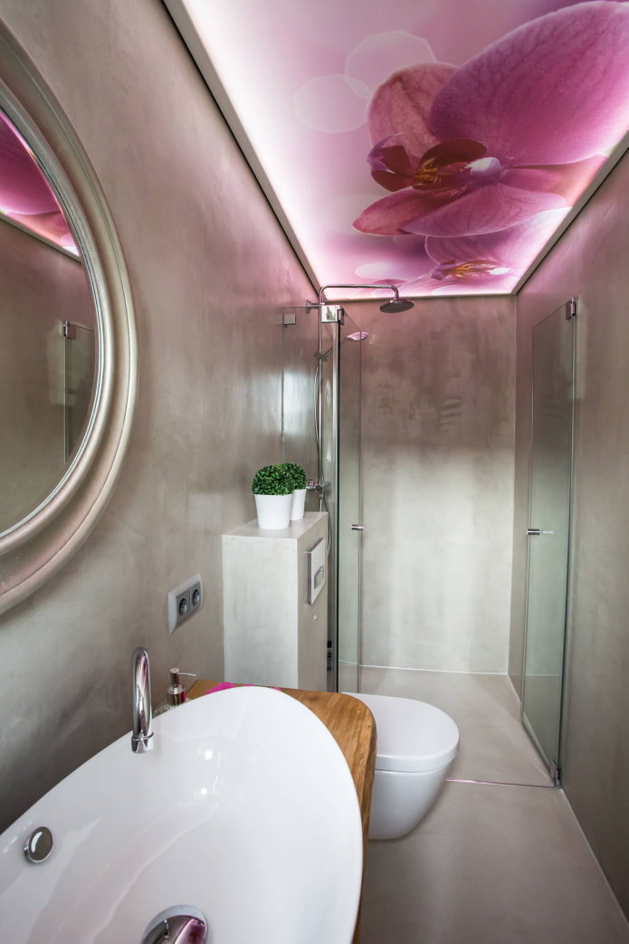 plafond met fotoafdrukken in de badkamer