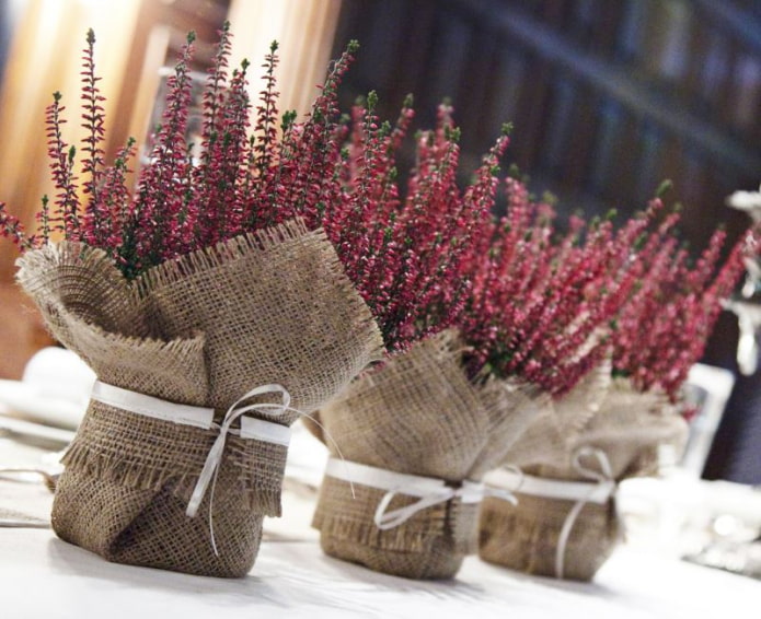 jute op een pot