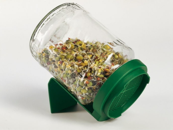 pot voor kieming