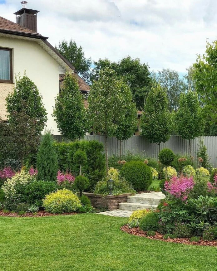 bomen in een mixborder