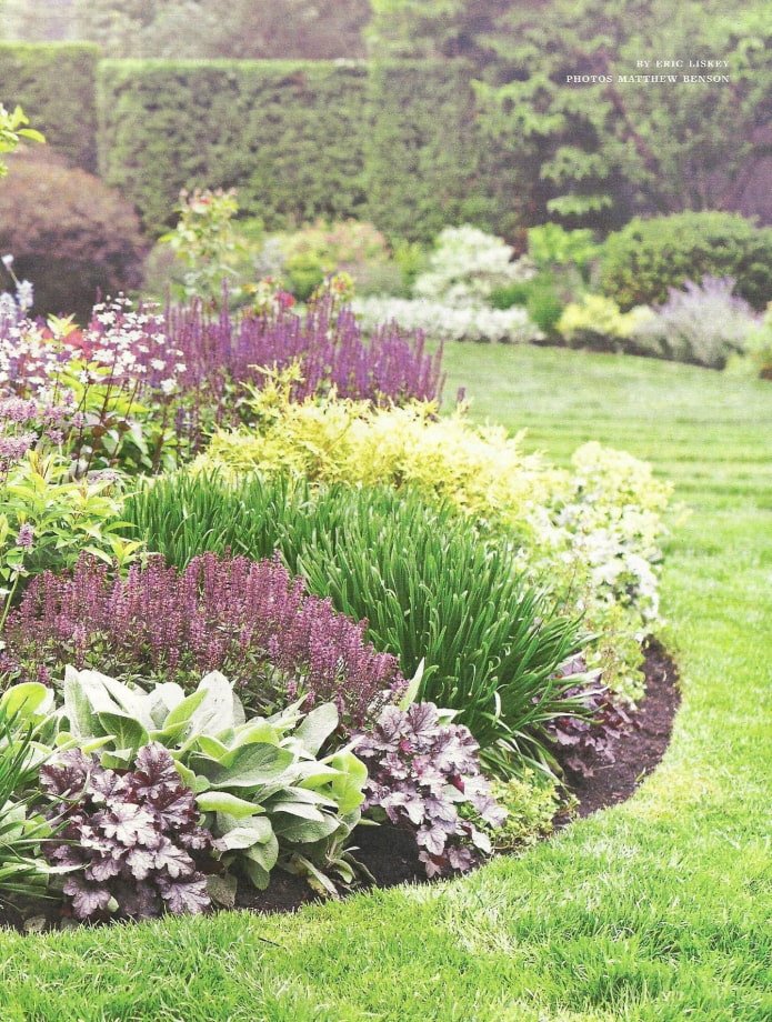lage planten voor een mixborder