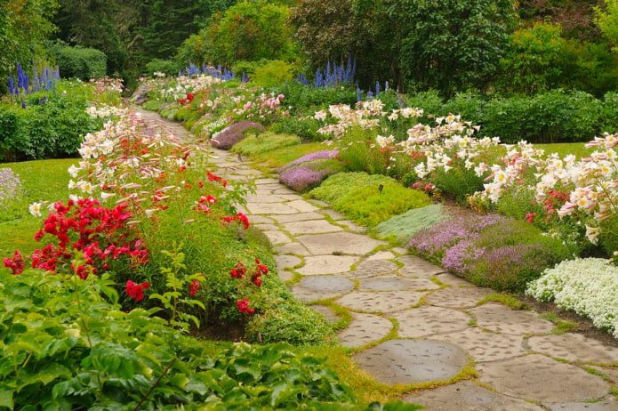 bloemen langs het pad