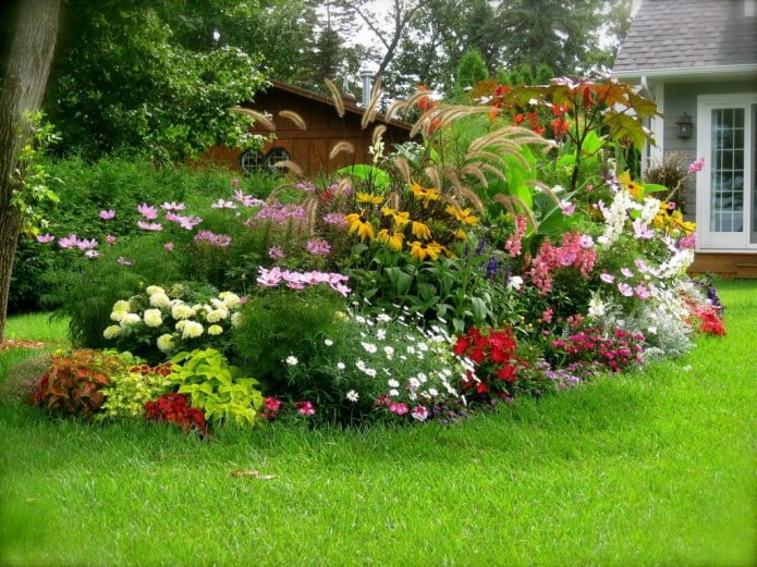 bloemen in een mixborder