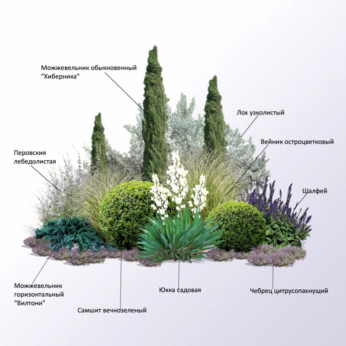 coniferenmixborder