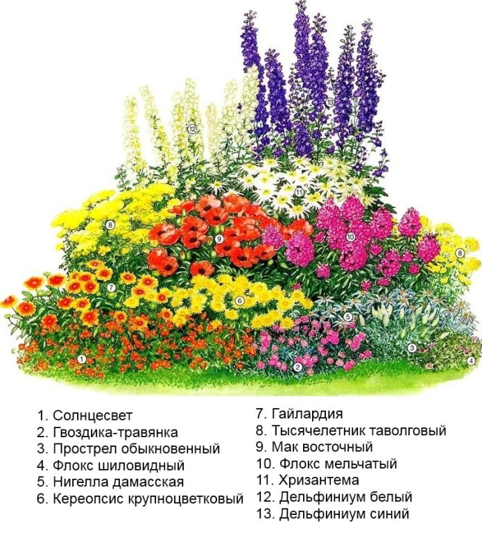 gele bloemen in een bloemperk