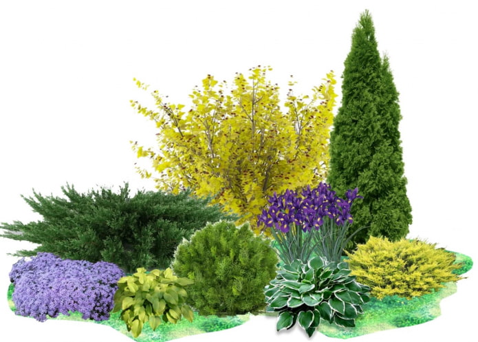 plantencompositie in de tuin