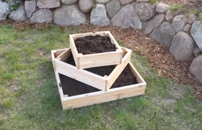 aardbeienbloemperk