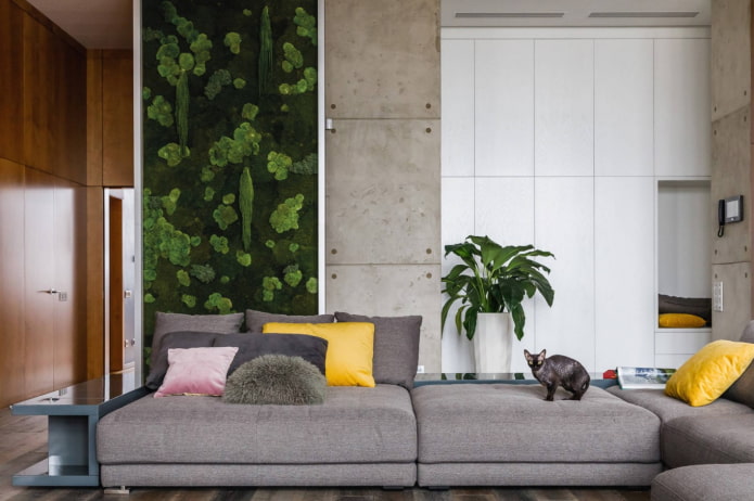moswand in het interieur