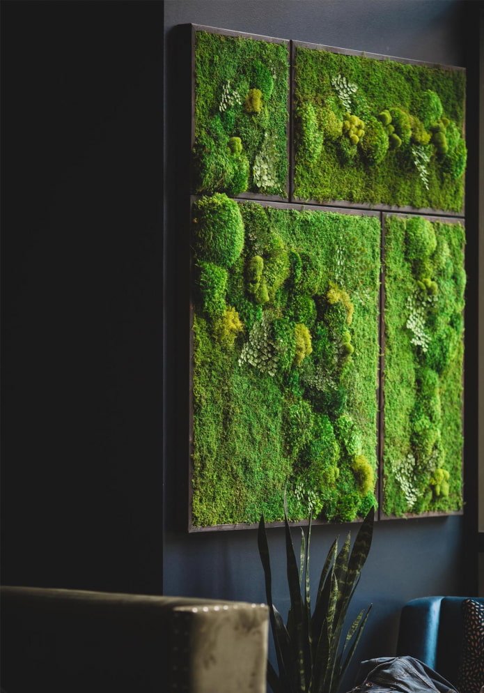 mospanelen voor wanddecoratie