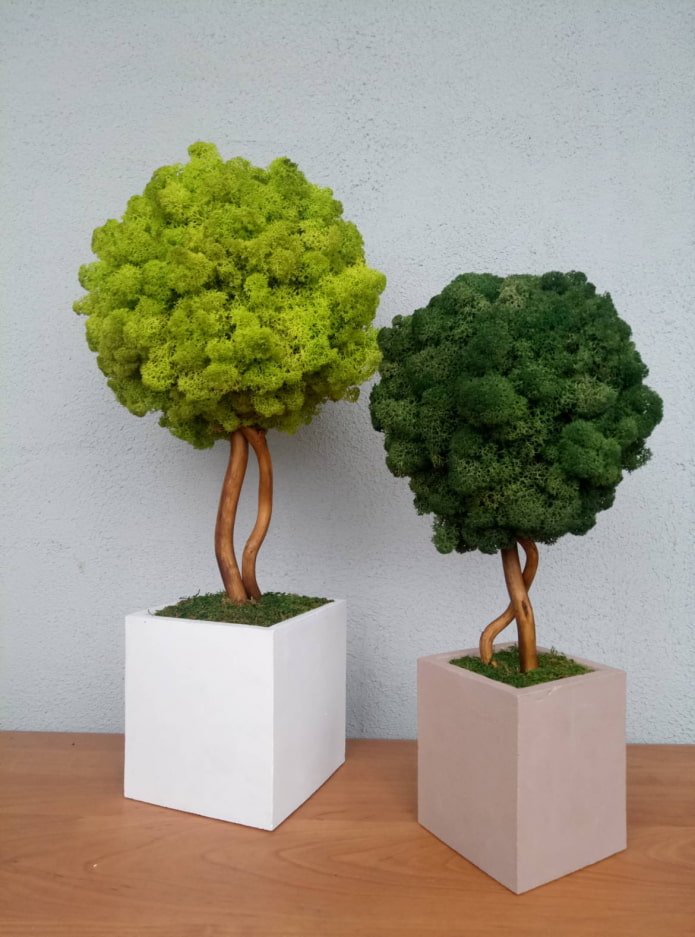mos topiary