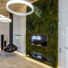 Mos in het interieur-0